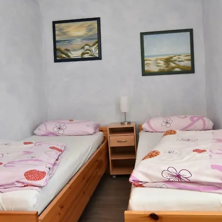 Urlaubsmöwe Rerik